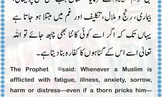 Sahih Bukhari – 5641