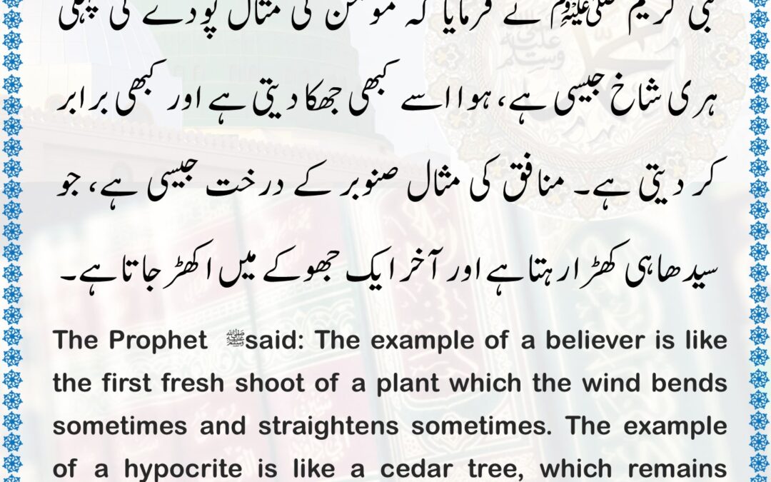 Sahih Bukhari – 5643
