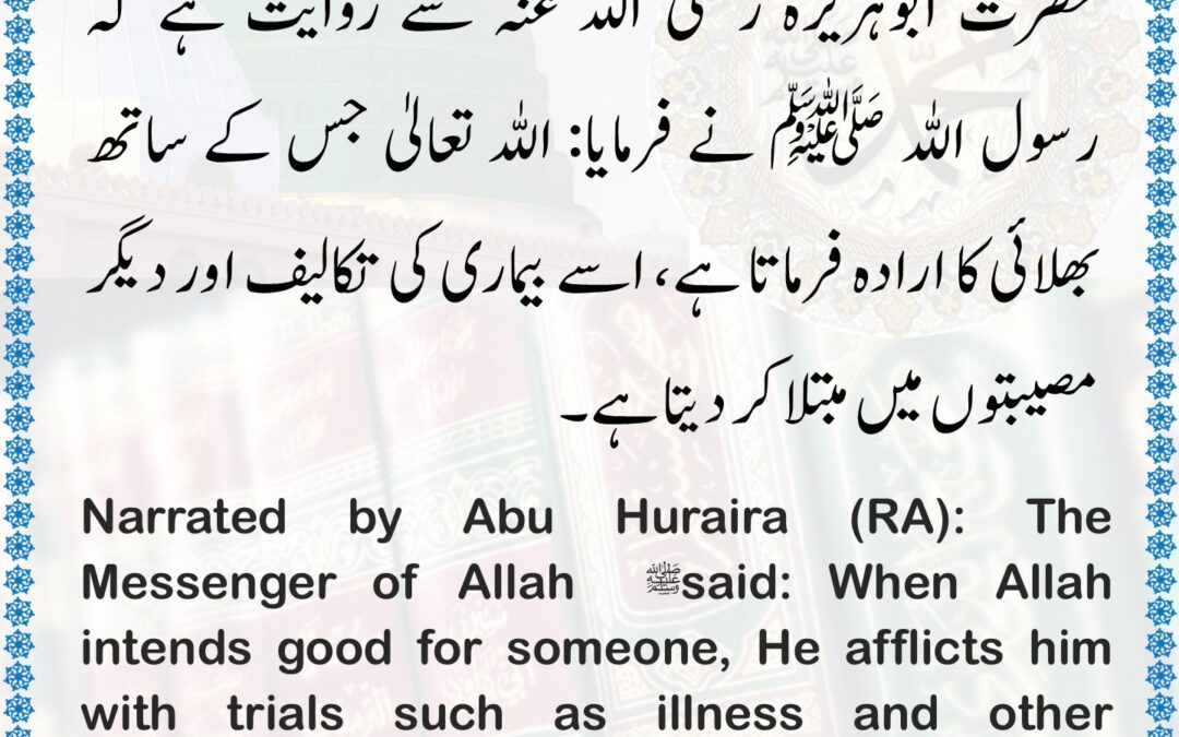 Sahih Bukhari – 5645