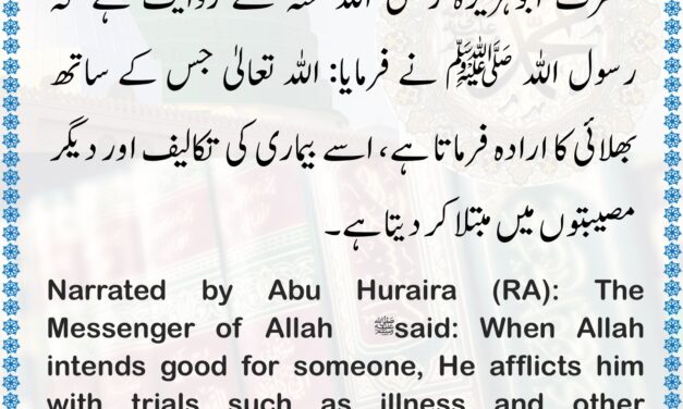Sahih Bukhari – 5645