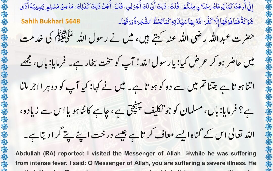 Sahih Bukhari – 5648
