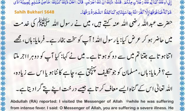 Sahih Bukhari – 5648