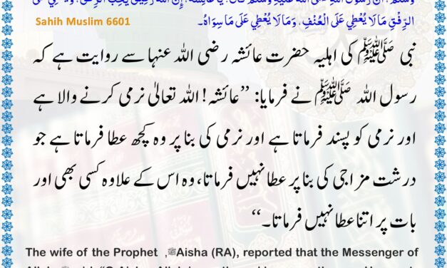 Sahih Muslim – 6601