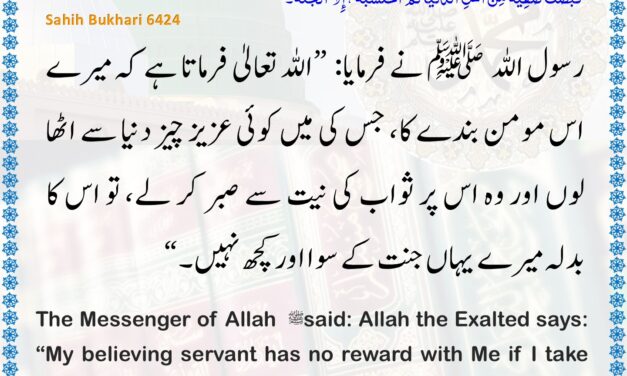 Sahih Bukhari – 6424
