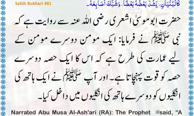 Sahih Bukhari – 481
