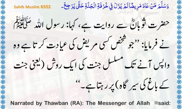 Sahih Muslim – 6552