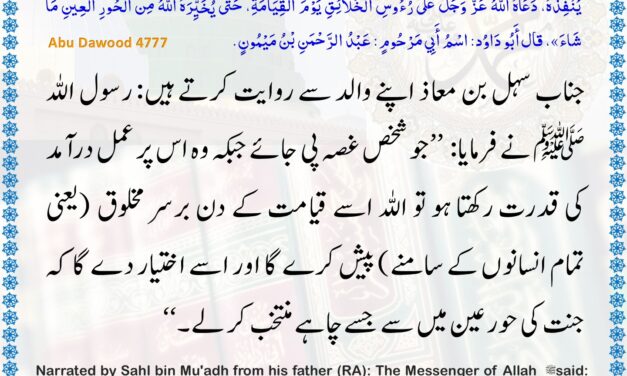 Sunan Abu Dawood – 4777