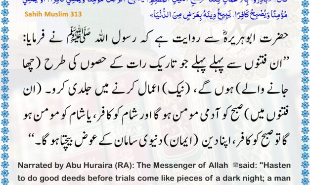 Sahih Muslim – 313