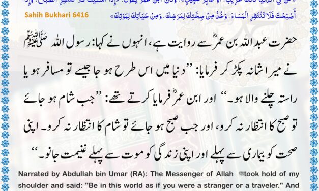 Sahih Bukhari – 6416