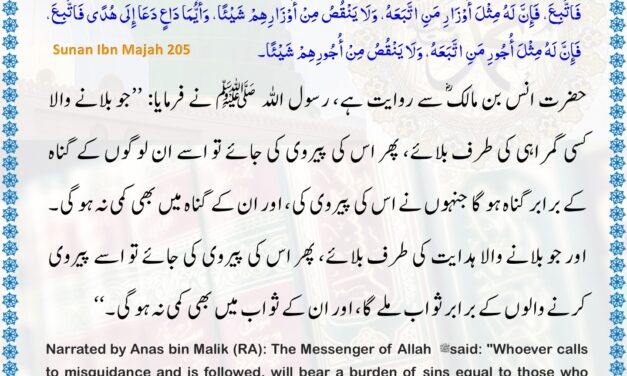 Sunan Ibn Majah – 205