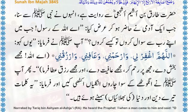 Sunan Ibn Majah – 3845