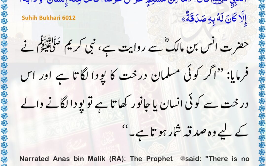 Sahih Bukhari – 6012