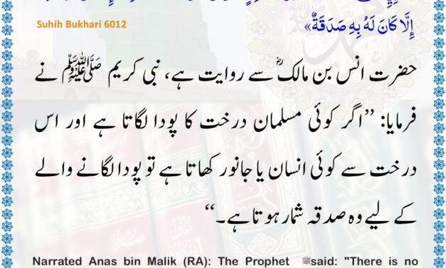Sahih Bukhari – 6012