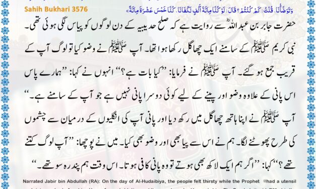 Sahih Bukhari – 3576