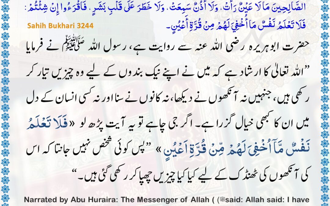 Sahih Bukhari – 3244