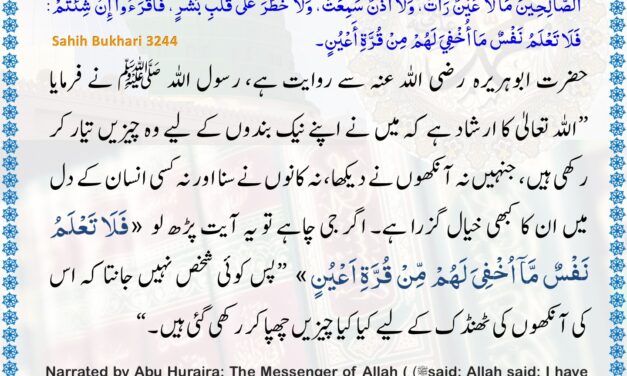 Sahih Bukhari – 3244