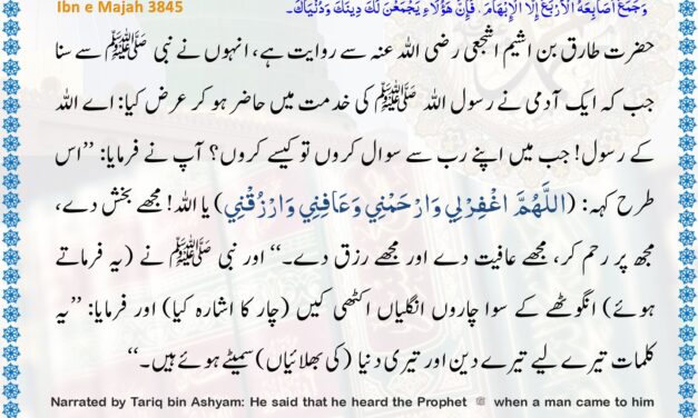 Sunan Ibn Majah – 3845