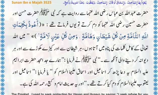 Sunan Ibn Majah – 3525