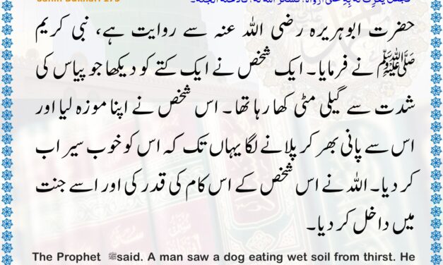 Sahih Bukhari – 173