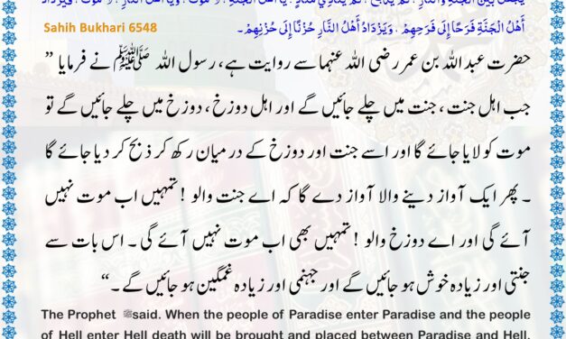Sahih Bukhari – 6548
