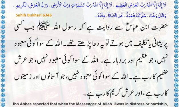 Sahih Bukhari – 6346