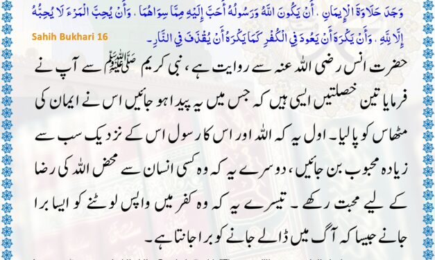 Sahih Bukhari – 16