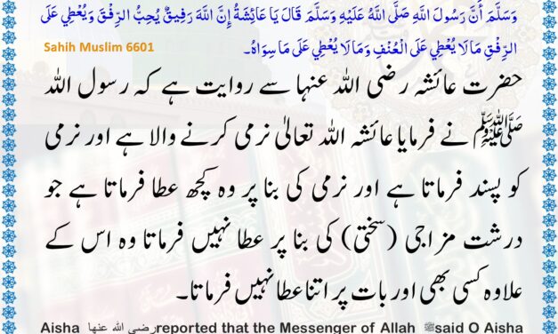 Sahih Muslim – 6601