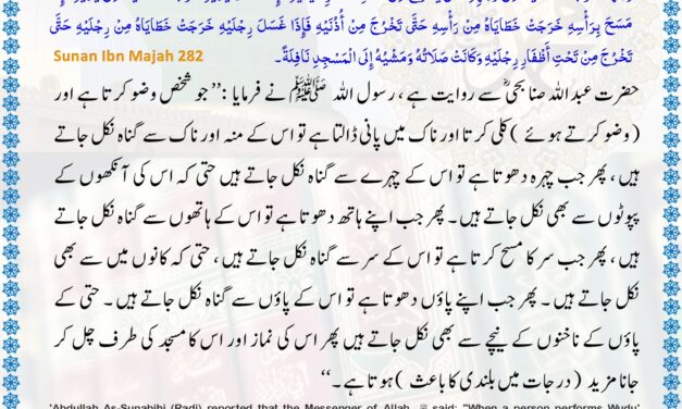 Sunan Ibn Majah – 282