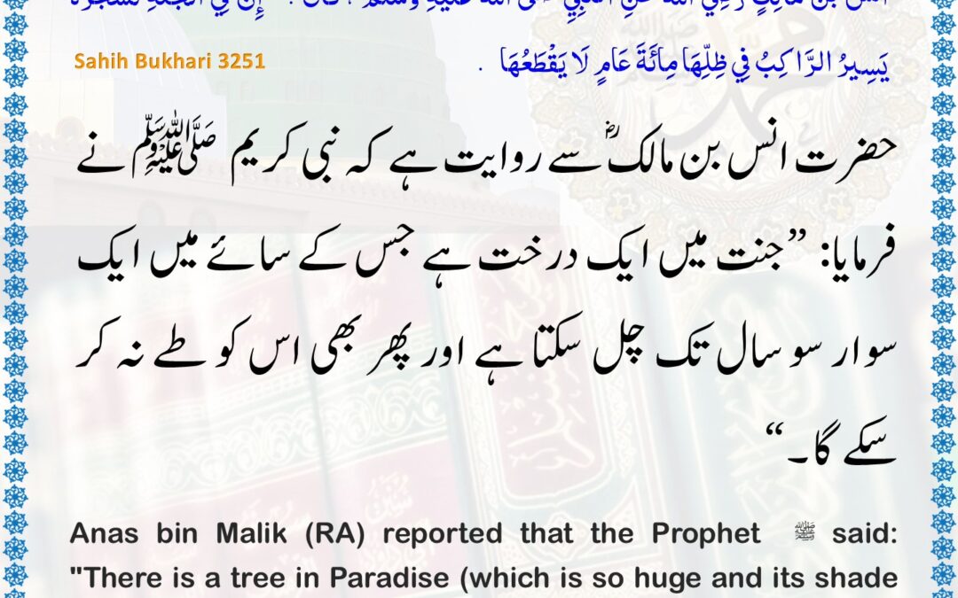 Sahih Bukhari – 3251