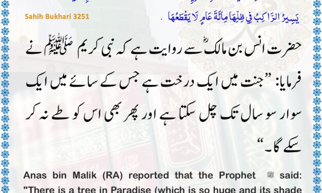 Sahih Bukhari – 3251