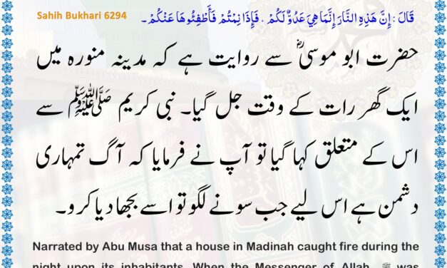 Sahih Bukhari – 6294