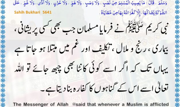 Sahih Bukhari – 5641