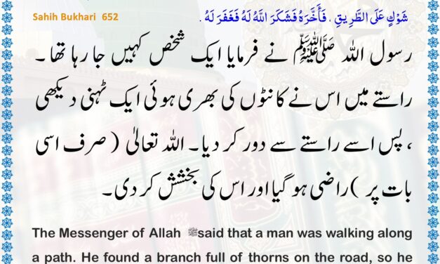 Sahih Bukhari – 652