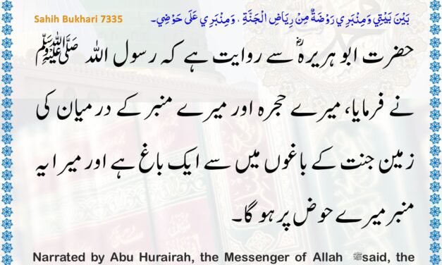 Sahih Bukhari – 7335