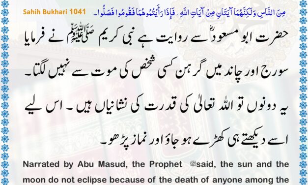 Sahih Bukhari – 1041