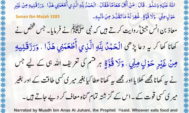Sunan Ibn Majah – 3285
