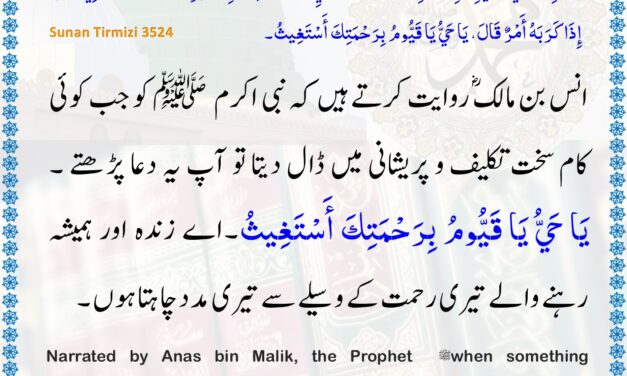Jamia Tirmizi – 3524