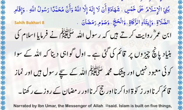 Sahih Bukhari – 8