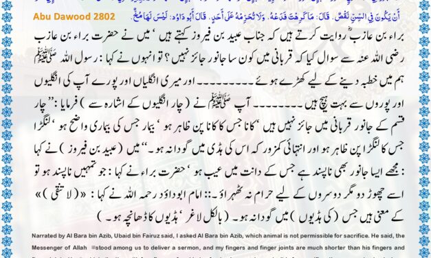 Sunan Abu Dawood – 2802