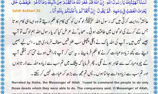 Sahih Bukhari – 20