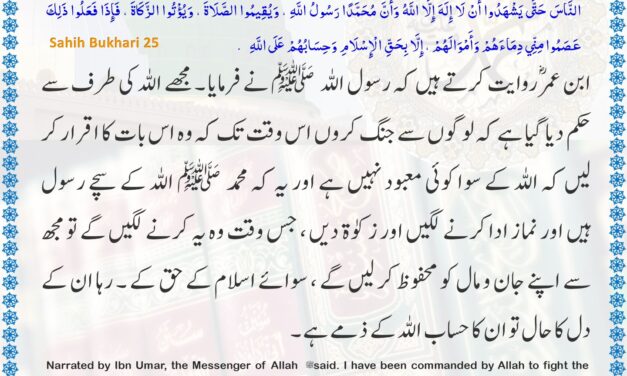 Sahih Bukhari – 25