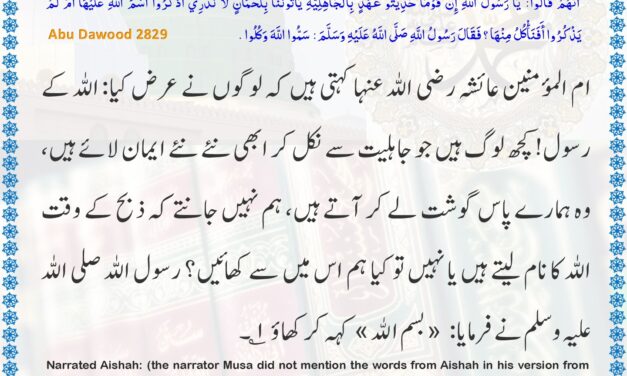 Sunan Abu Dawood – 2829