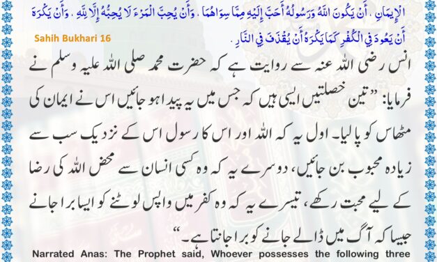 Sahih Bukhari – 16