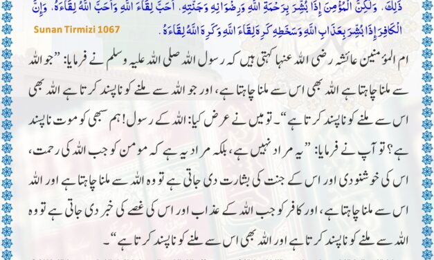 Jamia Tirmizi – 1067