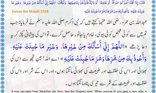 Sunan Ibn Majah – 1918
