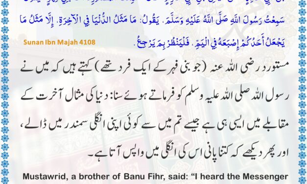 Sunan Ibn Majah – 4108