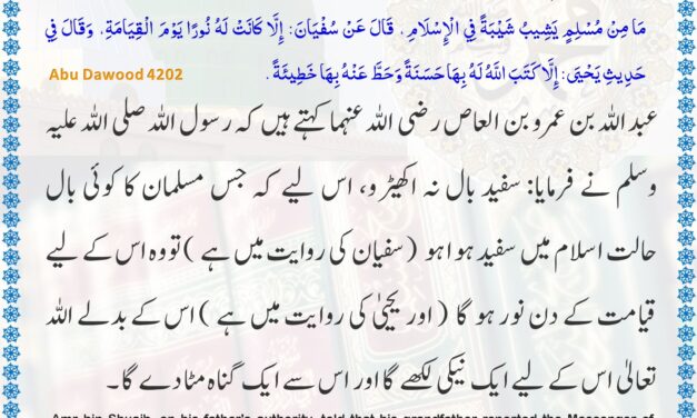 Sunan Abu Dawood – 4202