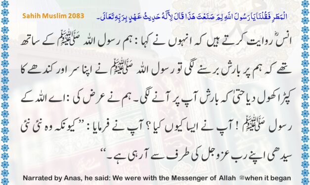 Sahih Muslim – 2083