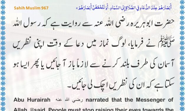 Sahih Muslim – 967