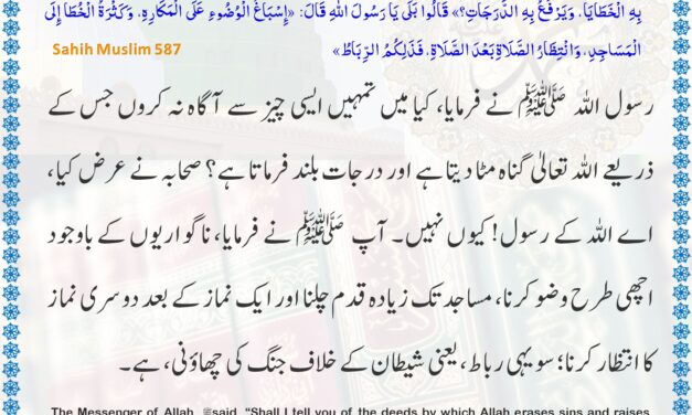 Sahih Muslim – 587